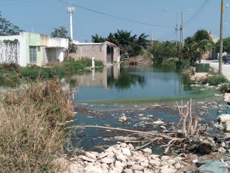 Por rebosamiento de aguas negras, vecinos de Bahía Real piden auxilio a las autoridades