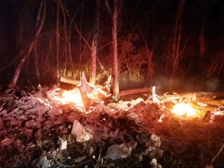 Bomberos de Solidaridad atienden y controlan incendios
