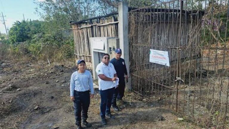 Propietarios de predios de Tulum son sancionados por realizar quemas prohibidas