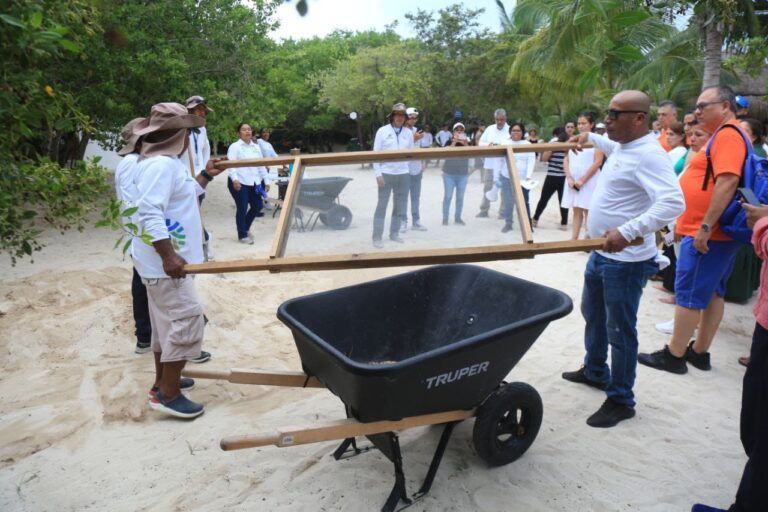 Apoyan proyecto para aprovechamiento del sargazo en Solidaridad