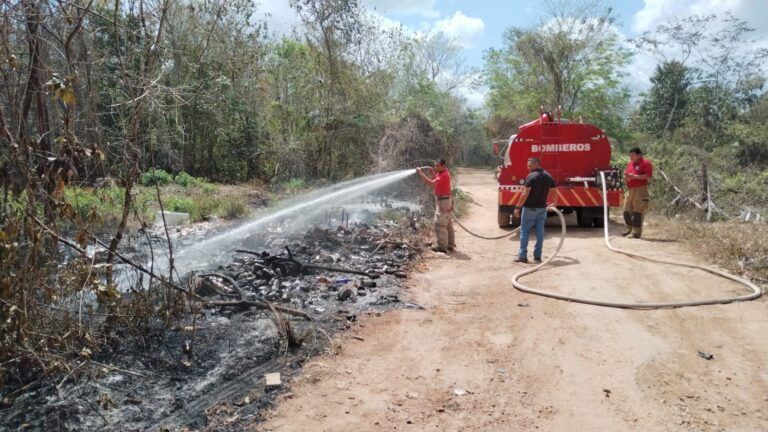 Combaten incendio forestal en Puerto Morelos