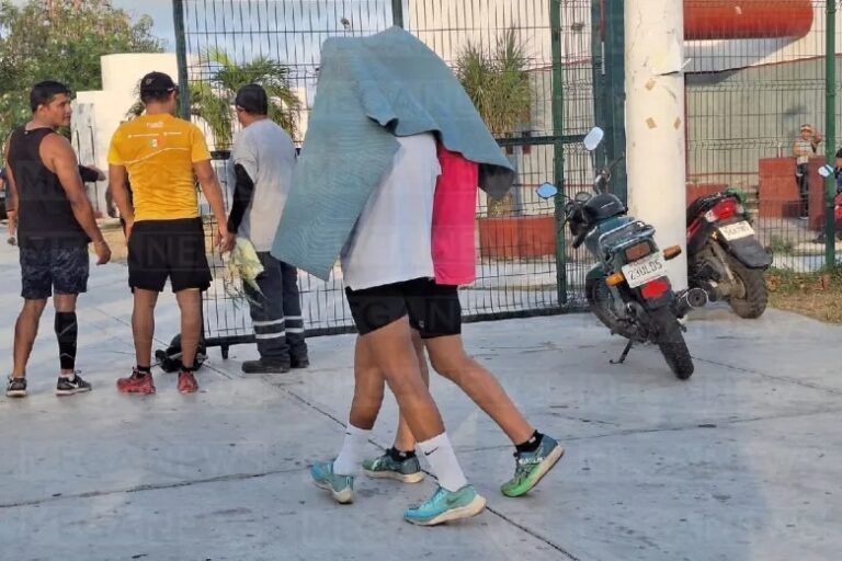 Enjambre de abejas ataca a 30 personas en Cancún
