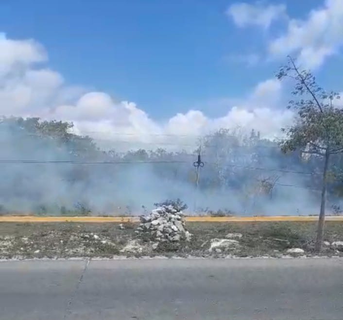 Hasta ahora, Solidaridad permanece sin incendios