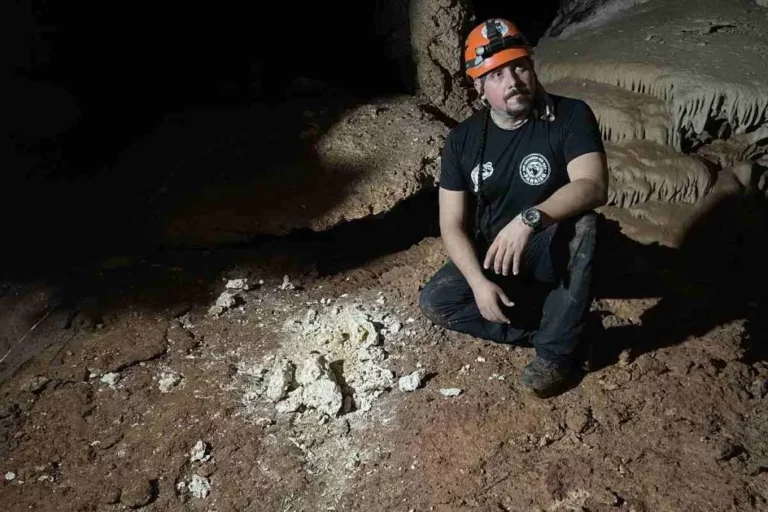 En riesgo de colapso el Tren Maya revela ex coordinador de obra