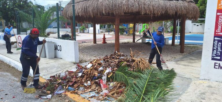 Solidaridad invita a hacer reportes para optimizar la limpieza de parques y jardines