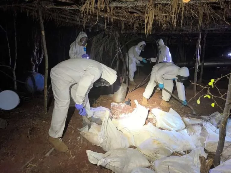 Marina destruye 8 laboratorios del narco con más de 6 toneladas de droga