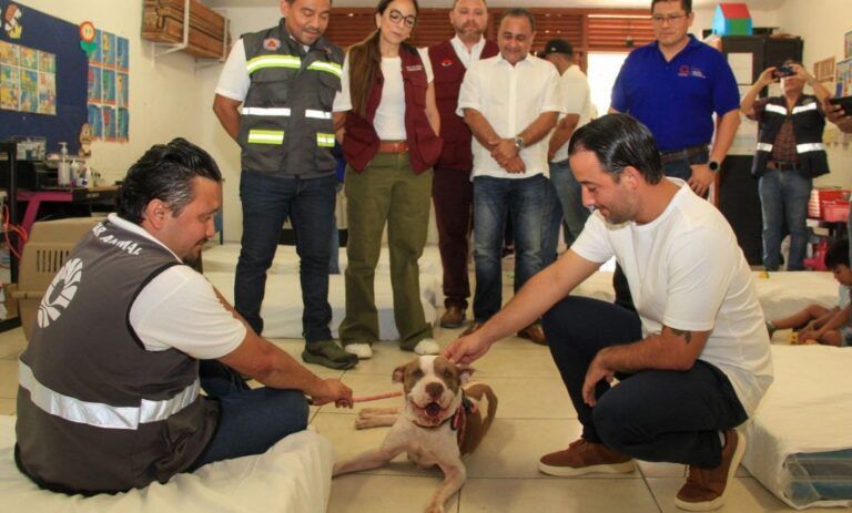 Cancún contará con refugio anticiclónico para mascotas