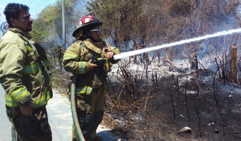 A pesar de las lluvias, Puerto Morelos mantiene monitoreo ante riesgo de incendios forestales