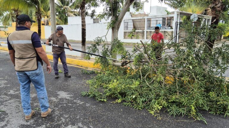Continúan las intensas labores de limpieza de alcantarillas por la temporada de lluvias
