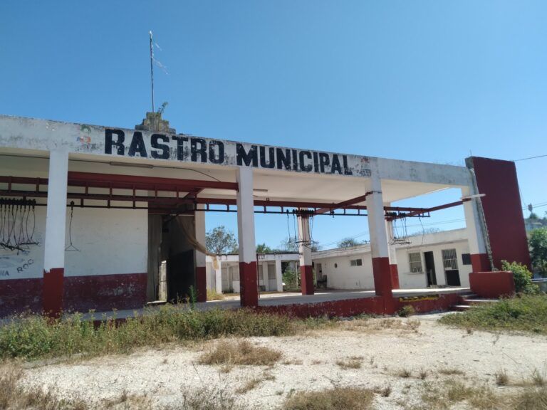 Comenzaron desmantelamiento del rastro de Cancún para edificar el nuevo Centro de Bienestar Animal