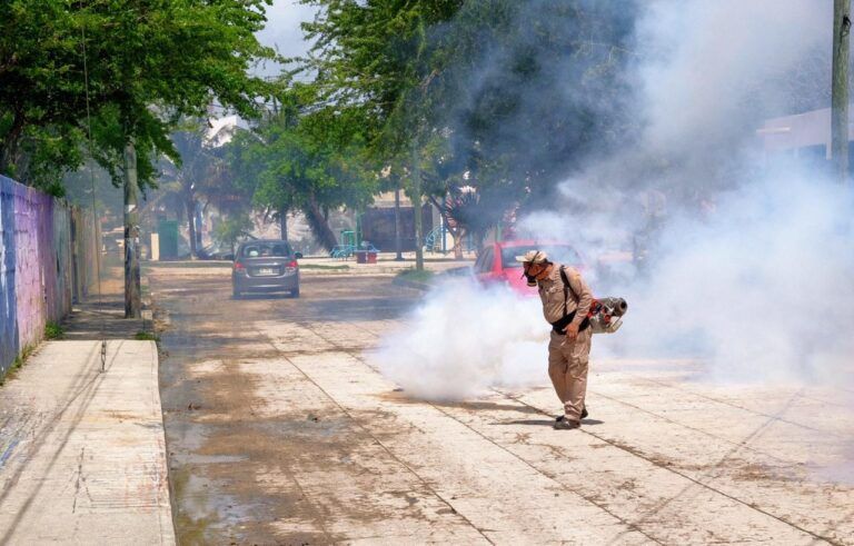 Jurisdicción Sanitaria de Cancún refuerza fumigación