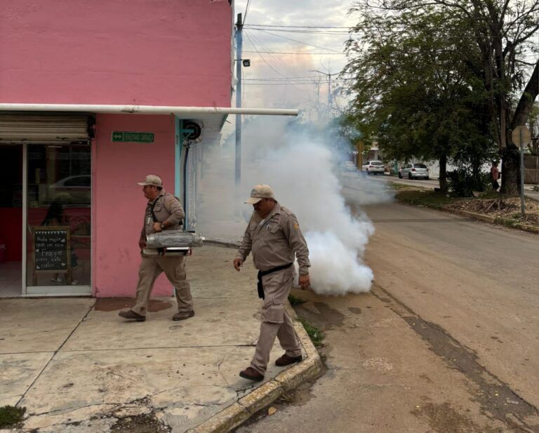 Nebuliza SESA más de 100 hectáreas en zonas inundadas de Quintana Roo para combatir dengue, zika y chikungunya
