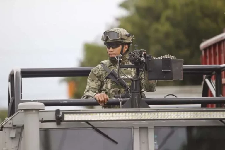 Marina y la Policía Estatal encuentran un arsenal de 200 armas en Veracruz