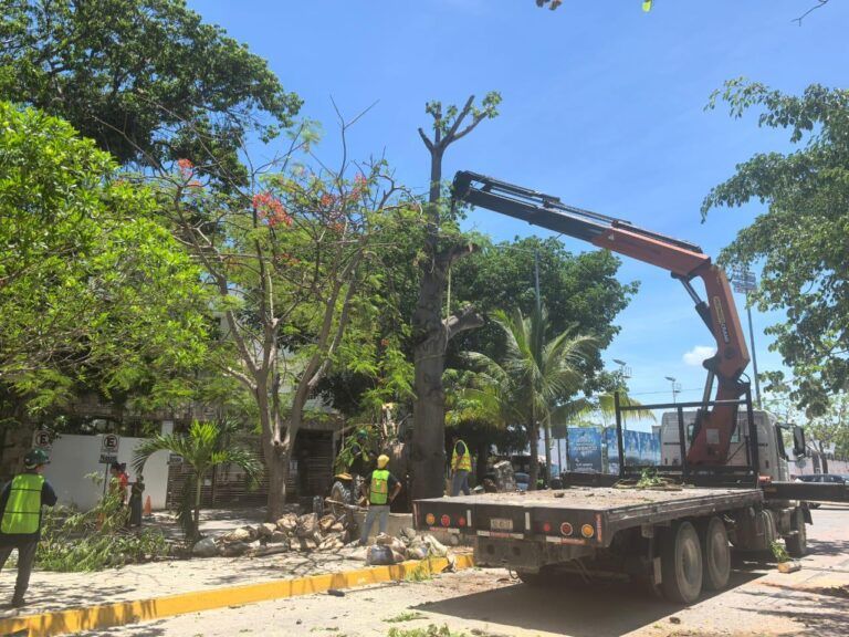 Gobierno de Solidaridad y el sector privado trabajan en favor del medio ambiente