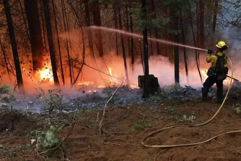 Más de 4,800 bomberos tratan de combatir el peor incendio de California de este año
