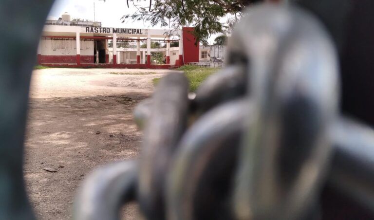 Regidor de Cancún señala que la falta de un rastro pone en riesgo la salud de la población