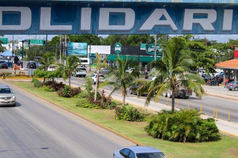 Gobierno de Solidaridad restaura y rehabilita camellón de la carretera federal