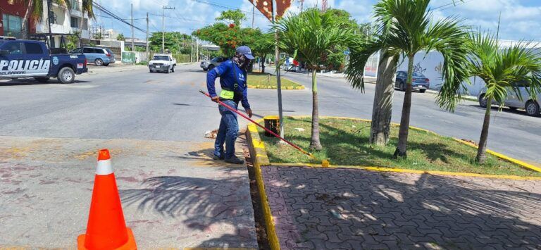 Gobierno de Solidaridad refuerza acciones de limpieza y reforestación