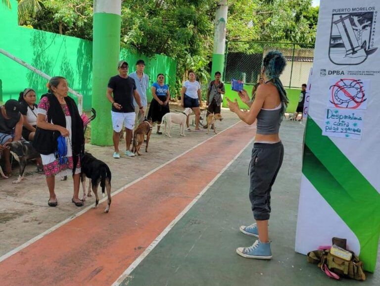 Gobierno de Puerto Morelos promueve el cuidado de los animales de compañía