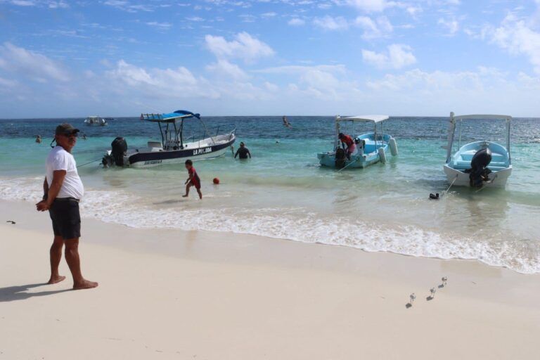 Reportan poco recale de sargazo en Puerto Morelos