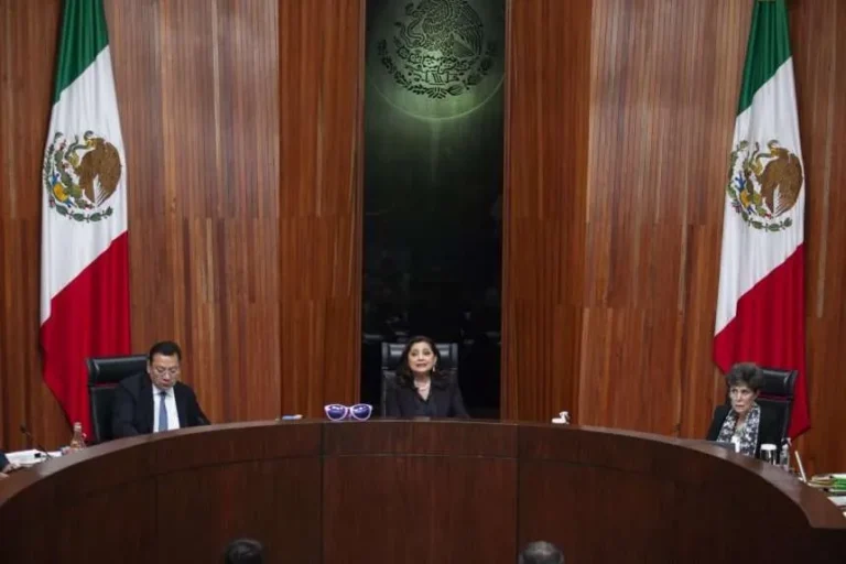 Tribunal Electoral da luz verde al INE para elección de jueces por voto popular