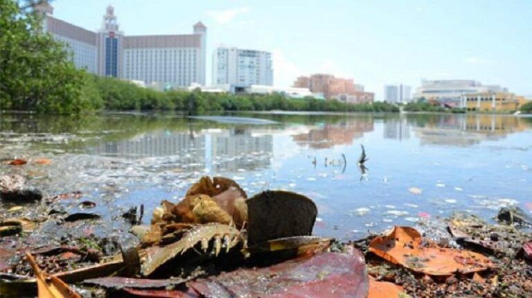 Preocupan niveles de contaminación del agua en el Caribe Mexicano