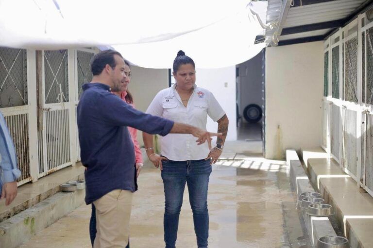 Afirma director de Ecología de Cancún, que el proyecto del nuevo Centro de Bienestar Animal se mantiene en pie