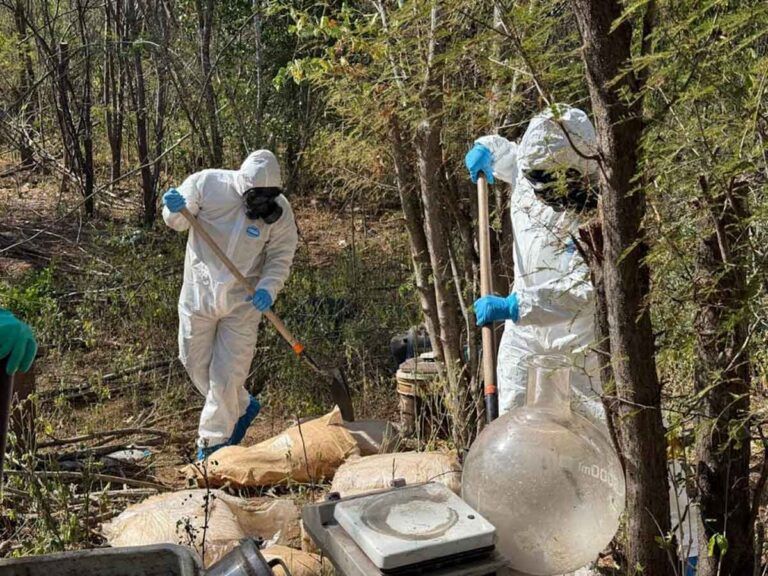 Golpe de SEMAR al narco: en 106 días destruye 22 laboratorios e incauta fentanilo