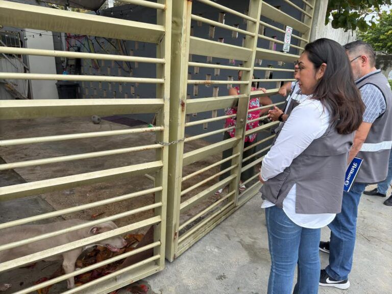 La Dirección de Bienestar Animal aseguró un perro de la raza pitbull