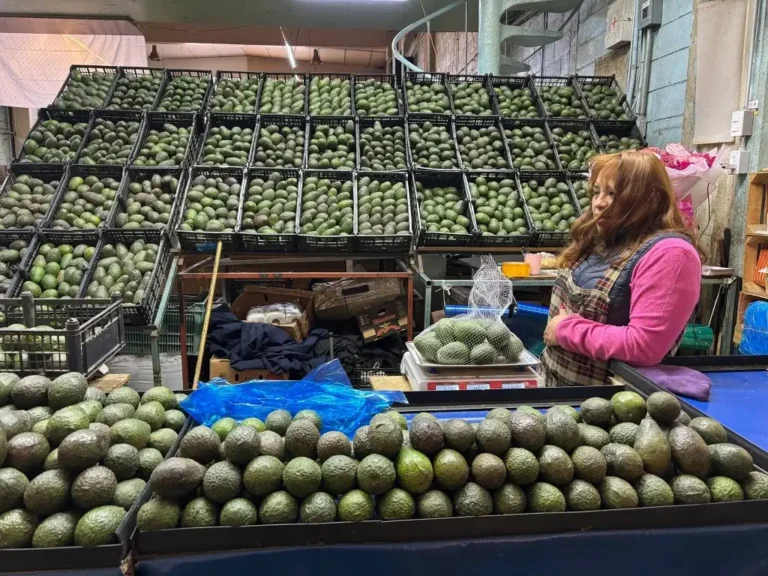 Para el Supertazón, México mandará 110 mil toneladas de aguacate