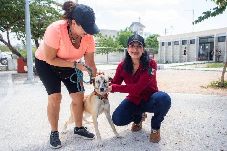Playa del Carmen está a punto de hacer historia con su primera clínica gratuita para animales