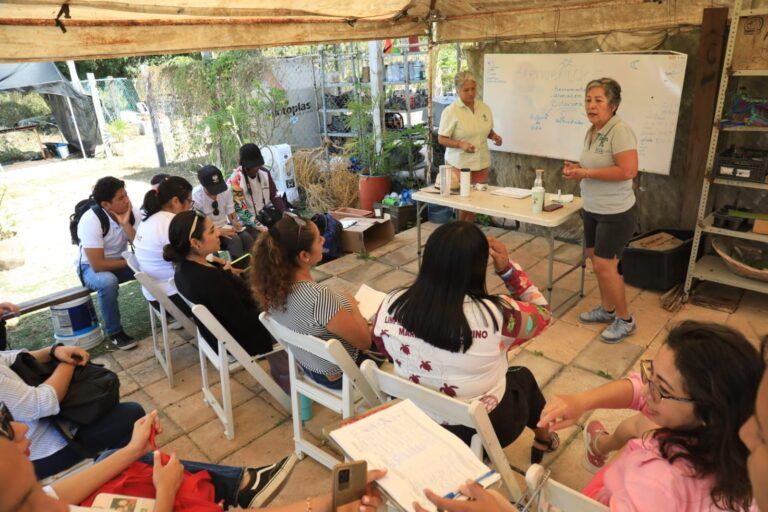 Impulsa Gobierno de Playa del Carmen proyecto de Huertos Urbanos