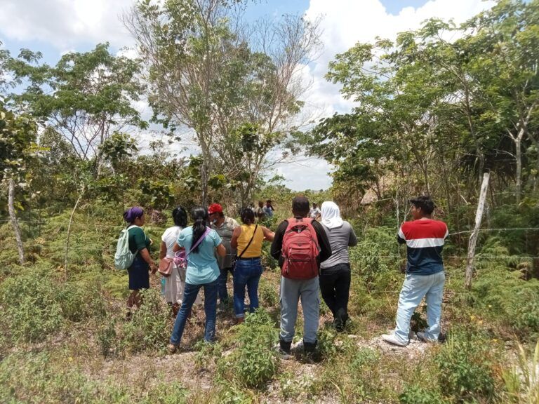 Localizan sin vida a enfermero desaparecido en el sur de Quintana Roo