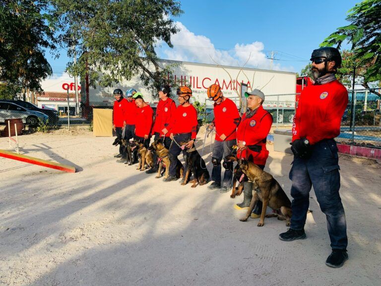 Bomberos de Cancún lanzan curso gratuito de adiestramiento canino: cupo limitado