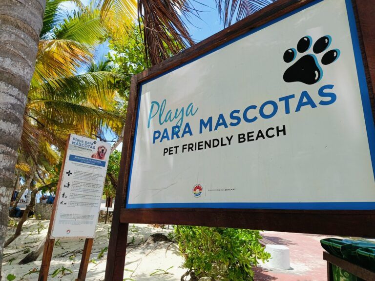 Anuncian operativos contra ingreso de mascotas en Playa San Miguelito