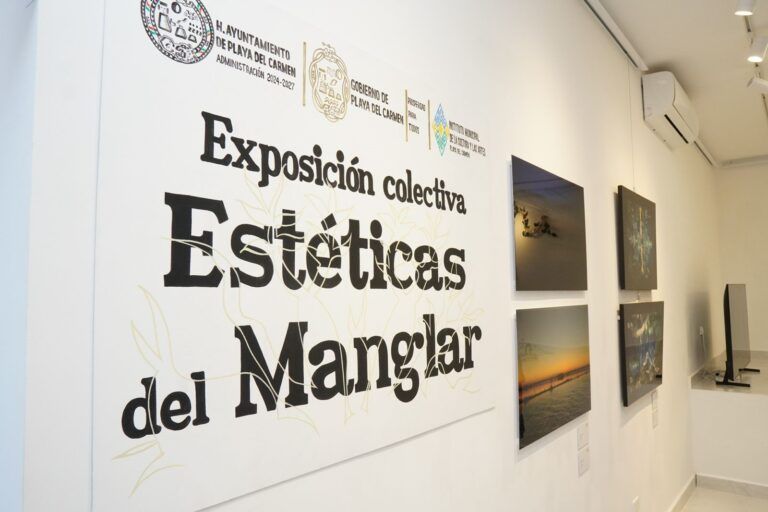Presentan “Estéticas del manglar”, una exposición colectiva en la Galería de Arte