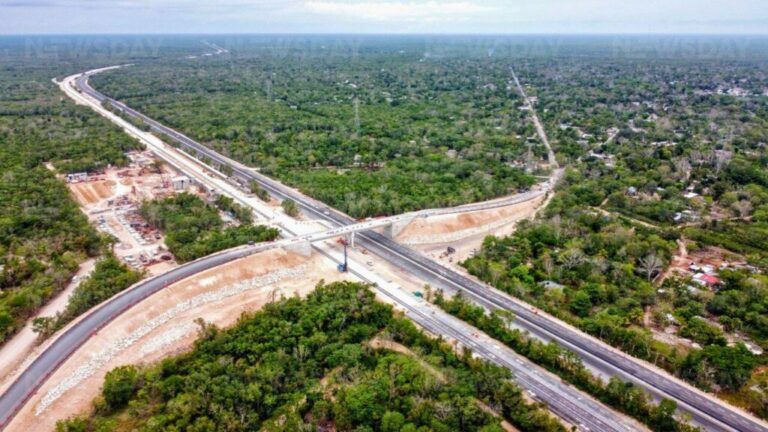 Greenpeace alerta sobre riesgo ambiental de terminal multimodal del Tren Maya en Cancún